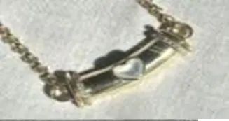 [N637WM- CH13YG] warrior heart necklace